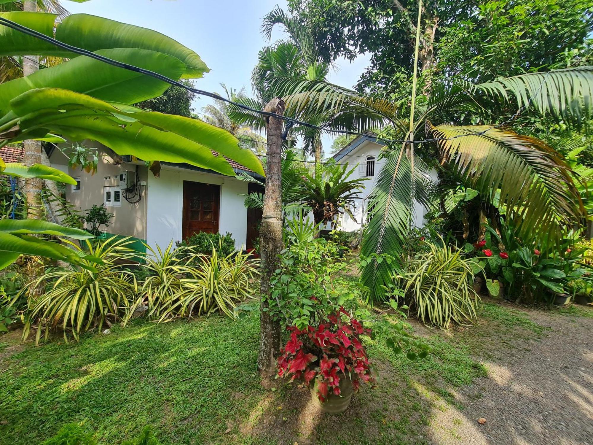 Hill Side Kings Villa Hikkaduwa Exterior foto